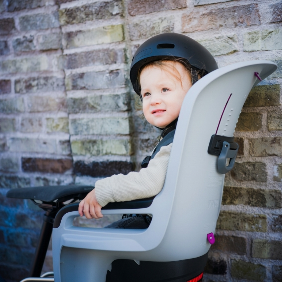 Silla Thule RideAlong 2 Gris Claro